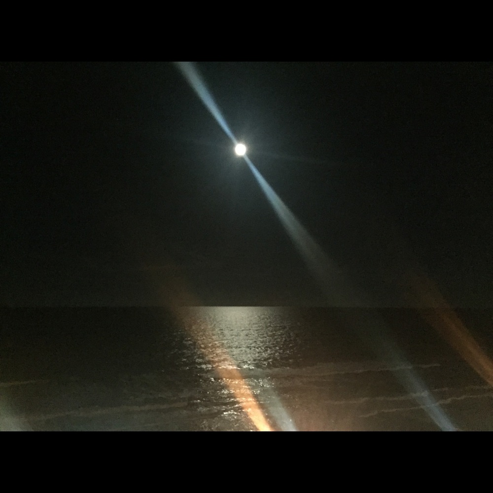 Meet your Posher, Staci